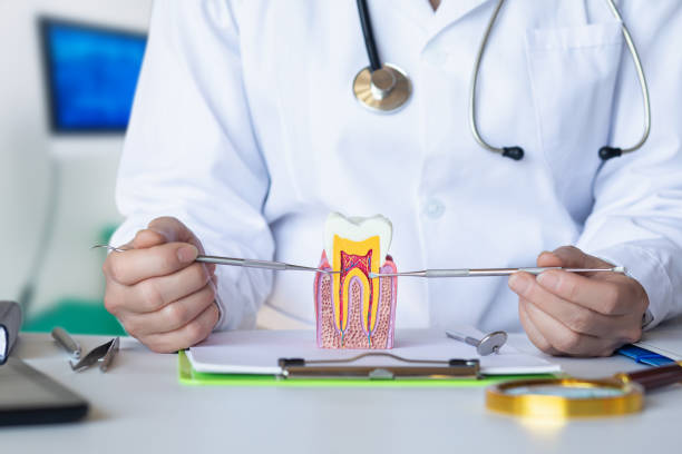 Best Emergency Tooth Extraction in Mccall, ID